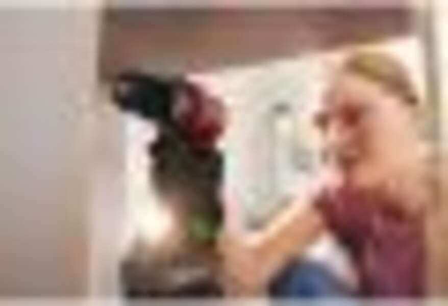 Akumulatorska bušilica BCD382D1XC-QW Black&Decker - Slika 3