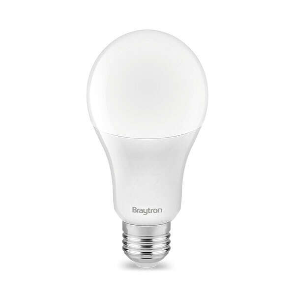 LED sijalica A65, 15W, 6500K E27 - Slika 1