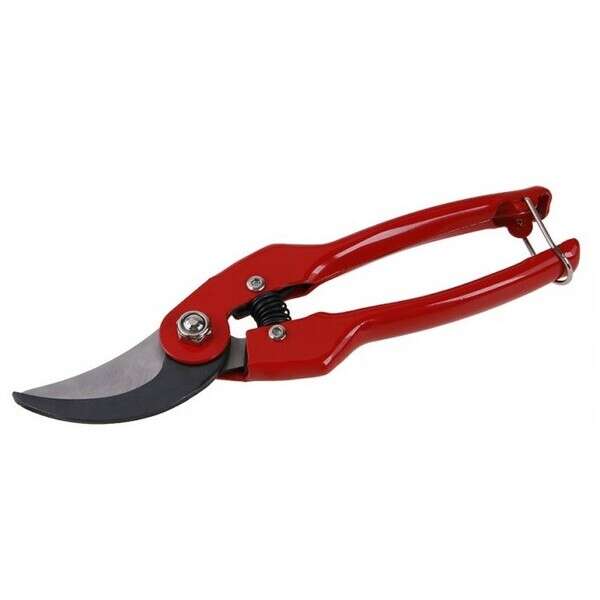 Makaze voćarske japanski čelik Winland - Slika 1