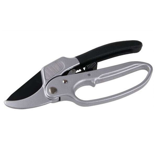 Makaze voćarske profi 20cm Winland - Slika 1