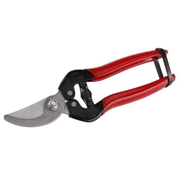 Makaze voćarske za vinovu lozu 18cm Levior - Slika 1