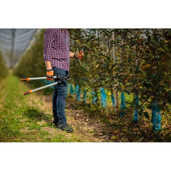 Makaze za grane zakrivljena oštrica LS 127 - Slika 2