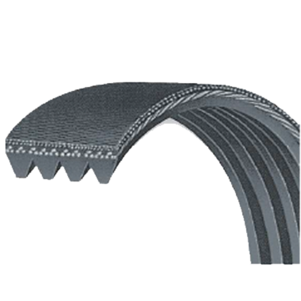 Remen kaiš POLY-V 711 Altrad-Liv - Slika 1