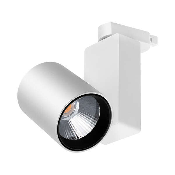 Šinski reflektor monofazni 30W 6500K beli - Slika 1