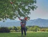 Akumulatorski multifunkcionalni alat GE-LM 36/4in1 Li-Solo Einhell - Slika 3