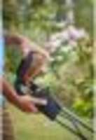 Akumulatorska travokosačica BCMW3318L2-QW Black&Decker - Slika 5