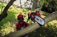 Akumulatorska teleskopska lančana testera GE-LC 18 Li T-Solo Einhell - Slika 2