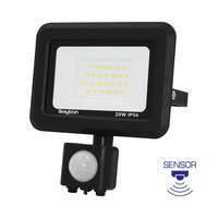 Led reflektor sa senzorom, crni, 20W-6500K-IP54