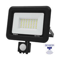 Led reflektor sa senzorom, crni, 30W-6500K-IP54