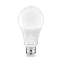 LED sijalica A65, 13W, 6500K E27