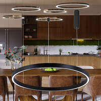 Led visilica, okrugla crna 2540-RND-35W-3IN1 - Slika 2