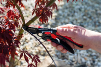 Makaze voćarske za orezivanje 210mm FESTA - Slika 5