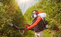 motorna-leđna-prskalica-agm-14-md_7295.webp