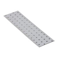 PP11 Anker ploča 300x80x2,0 mm