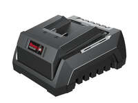 Punjač P20 baterija GP-LG S20-2.4