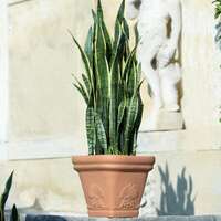 saksija-zeus-dimartino_aa00.webp