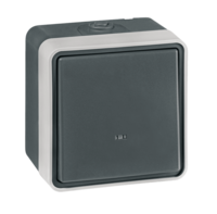 Sklopka ukrsna sa indikacijom Protecta 10A/250V