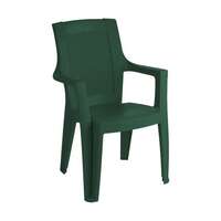 Stolica baštenska Ema Ratan Zelena